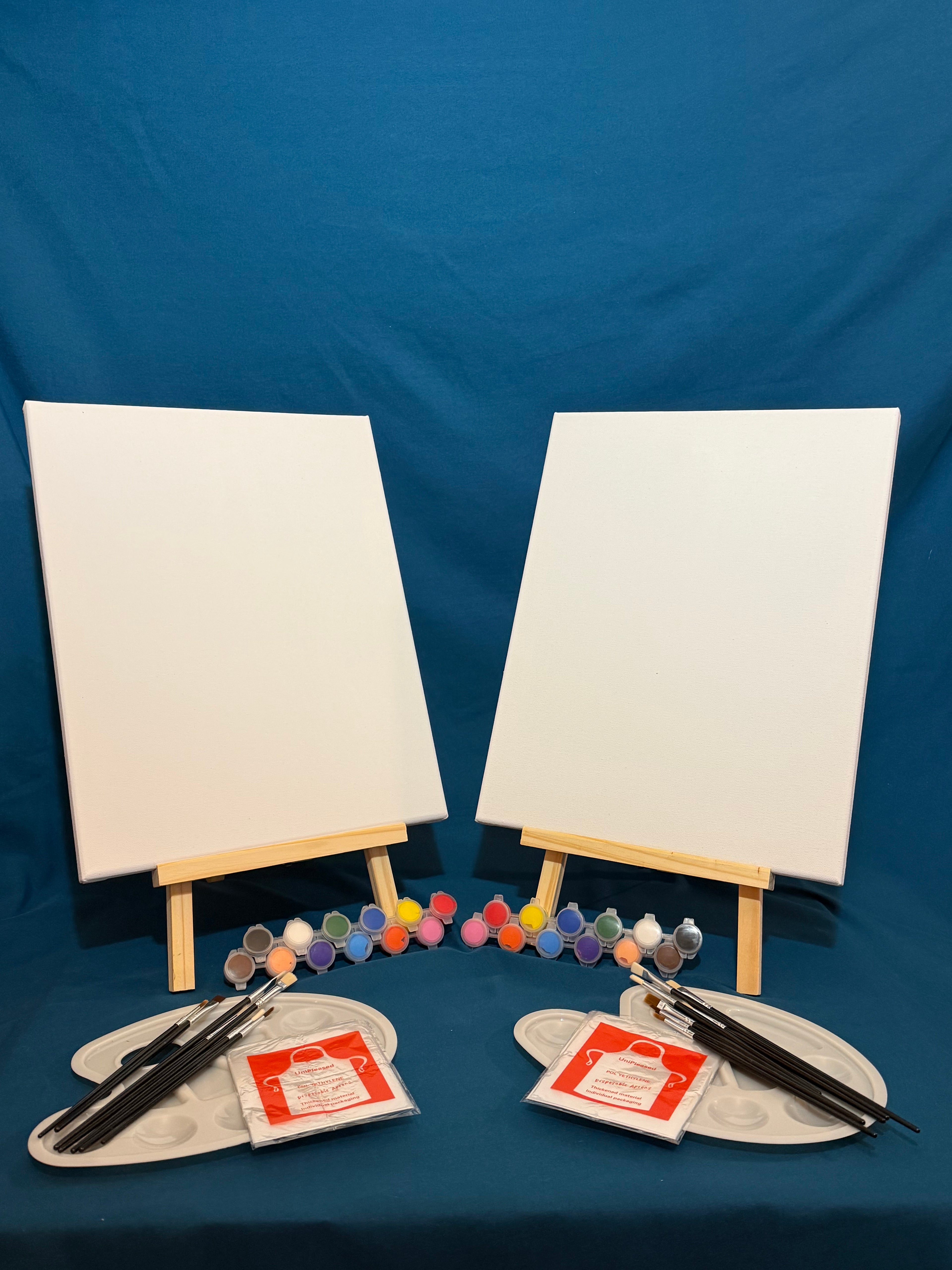 Paint Your Partner Kit